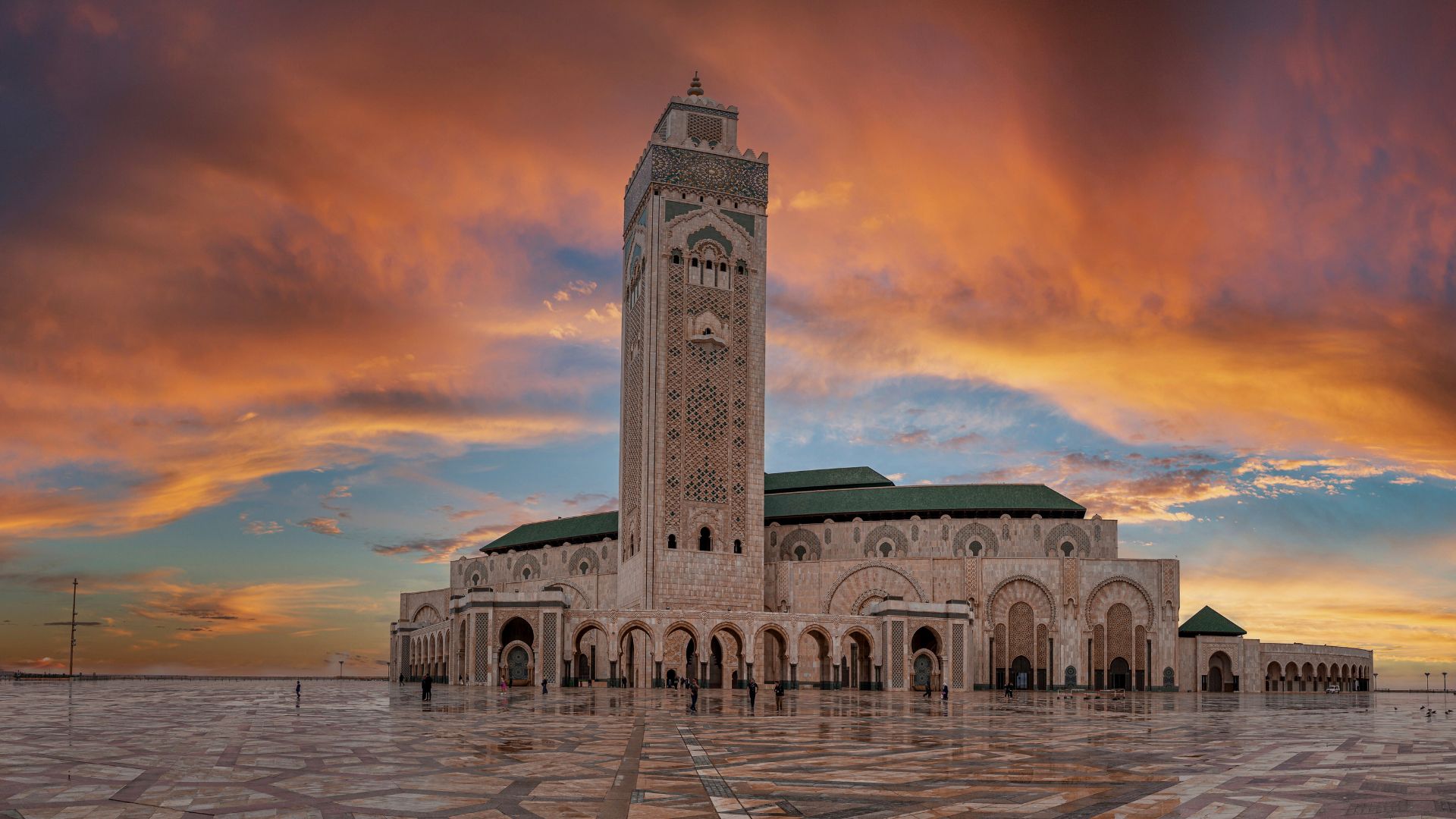 Image for Study Away Policies