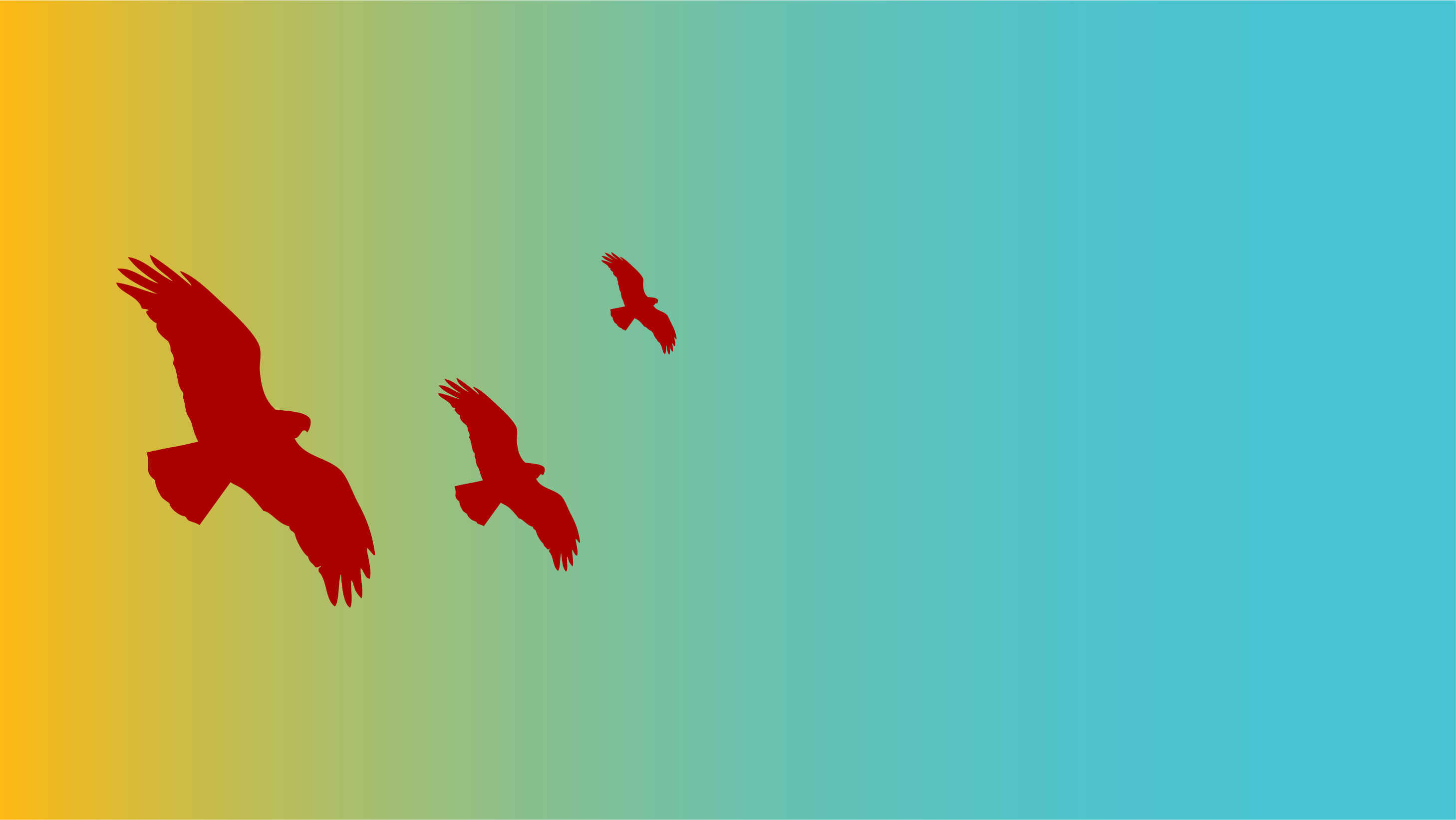 Redhawk birds in flight