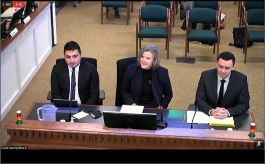 Professor Elizabeth Ford and students testify before House committee